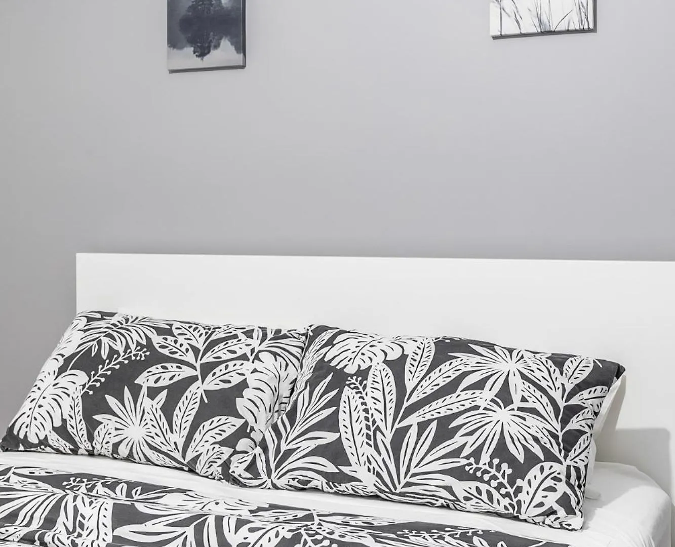 Pet-Friendly Apartment On Ossington Ave  Toronto