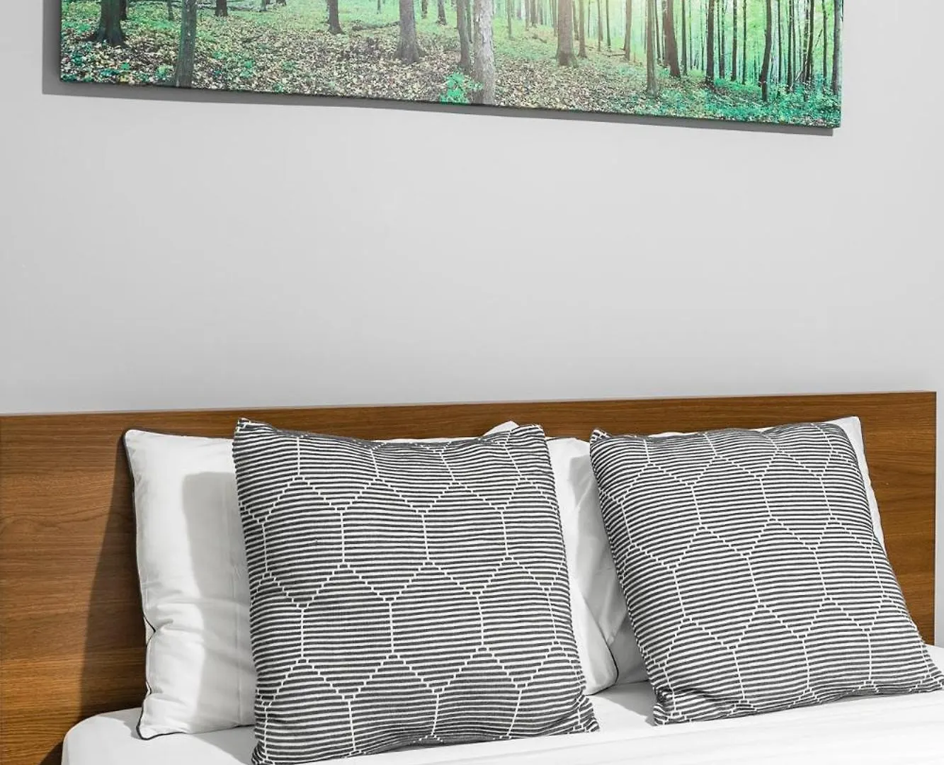 Pet-Friendly Apartment On Ossington Ave トロント カナダ